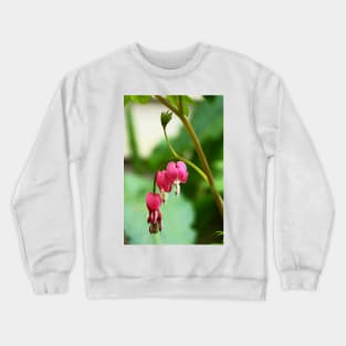 Bleeding Hearts Crewneck Sweatshirt